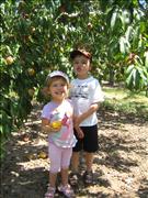 2010-08-07 12-28-18_0005